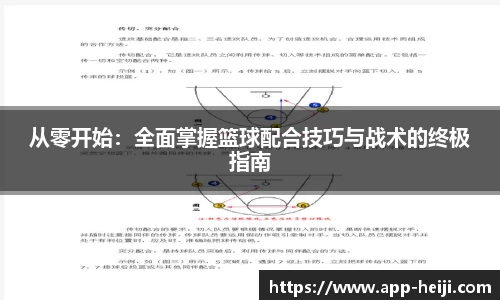 从零开始:全面掌握篮球配合技巧与战术的终极指南